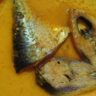 Homemade Bengali-Style Ilish Fish Recipe